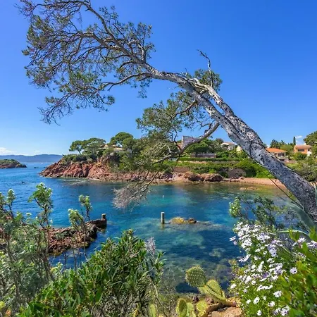 Apartment Quiet, Beautiful And Stylish House In Saint-raphael *
